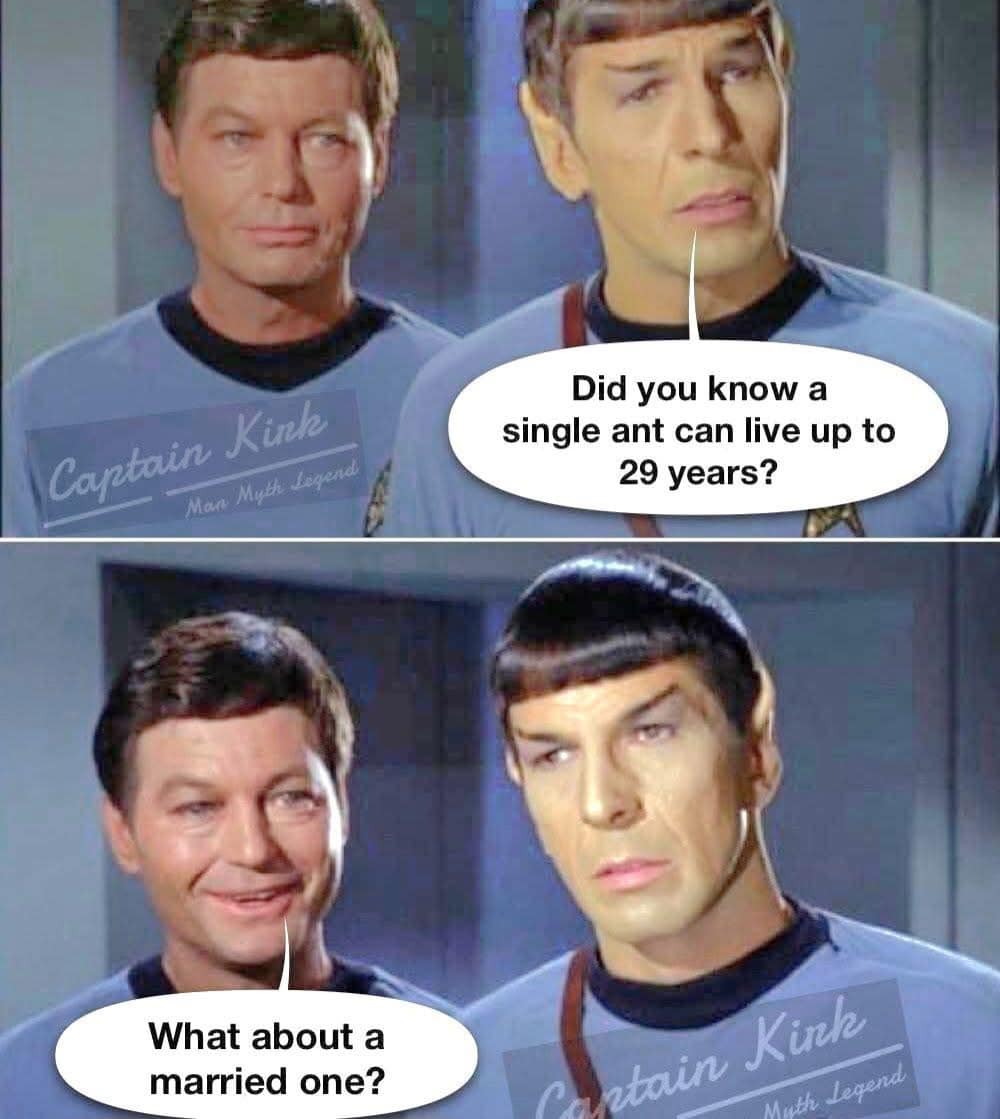 How Long Do Married Ants Live Meme