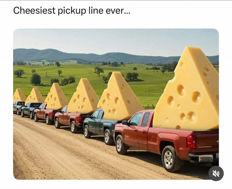 One Cheesy Dating Pick up Line Meme