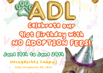 Happy 91st ADL!