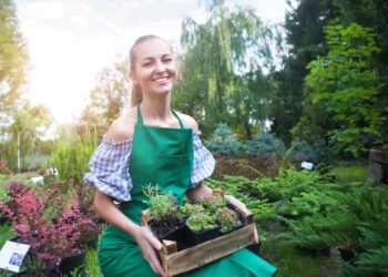 Smart Summer Garden Irrigation Tips for Thriving Plants