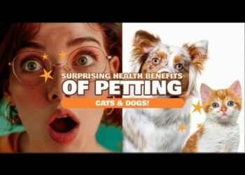 Surprising Health Benefits of Petting Cats and Dogs