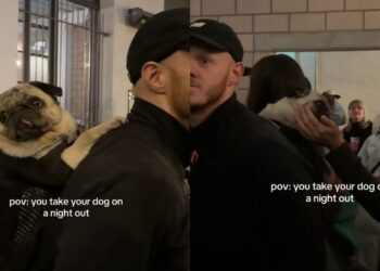 Pug Is The Life Of The Party On Night Out With Owner