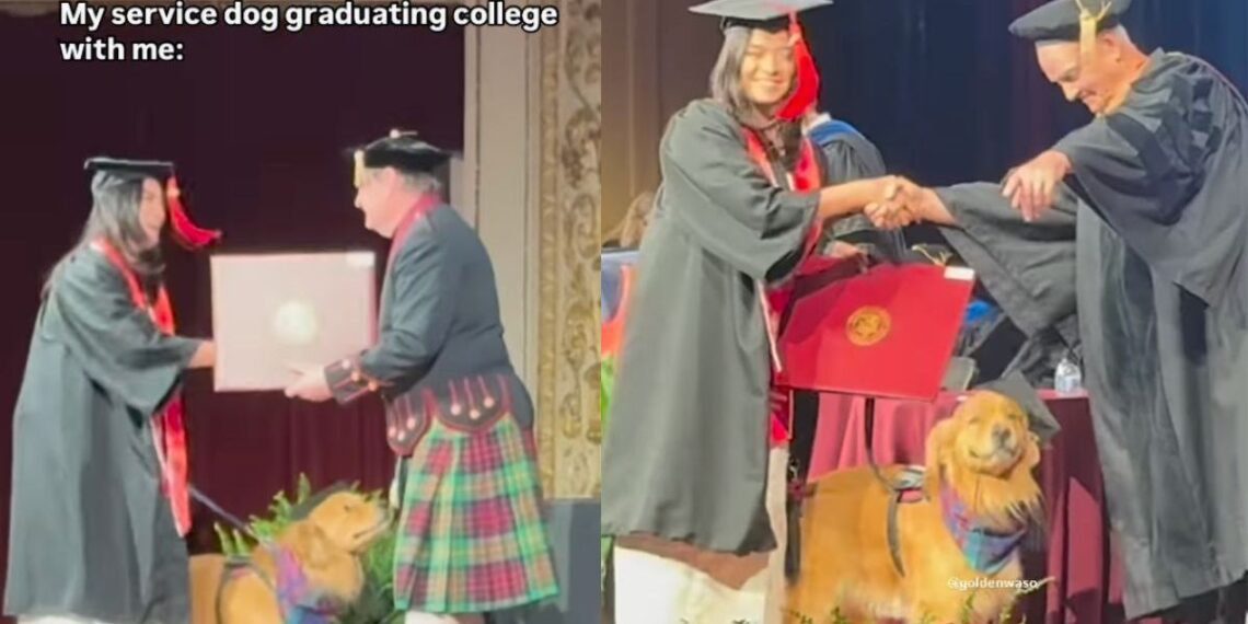 Video: Service Dog Graduates & Walks Alongside Owner During Ceremony