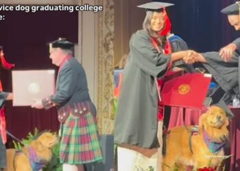 Video: Service Dog Graduates & Walks Alongside Owner During Ceremony