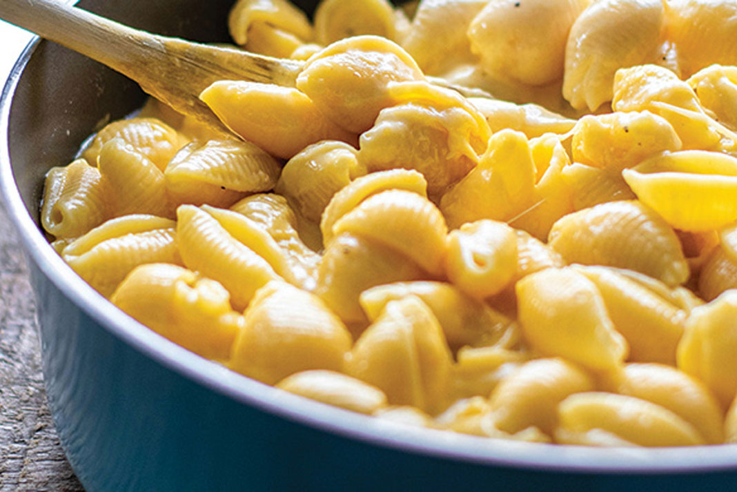 Creamy Shells Mac & Cheese Recipe